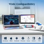 enzion dual screen